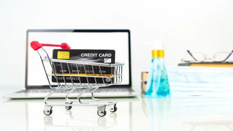 Ecommerce shopping cart and checkout interface